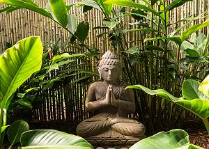 Moment of zen in the beautiful gardens 