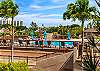 Main Whale Pool View