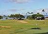 Expansive golf course views framed by tall swaying palms and Maui’s vibrant blue sky.
