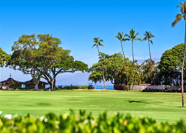 Maui Eldorado Condo J123