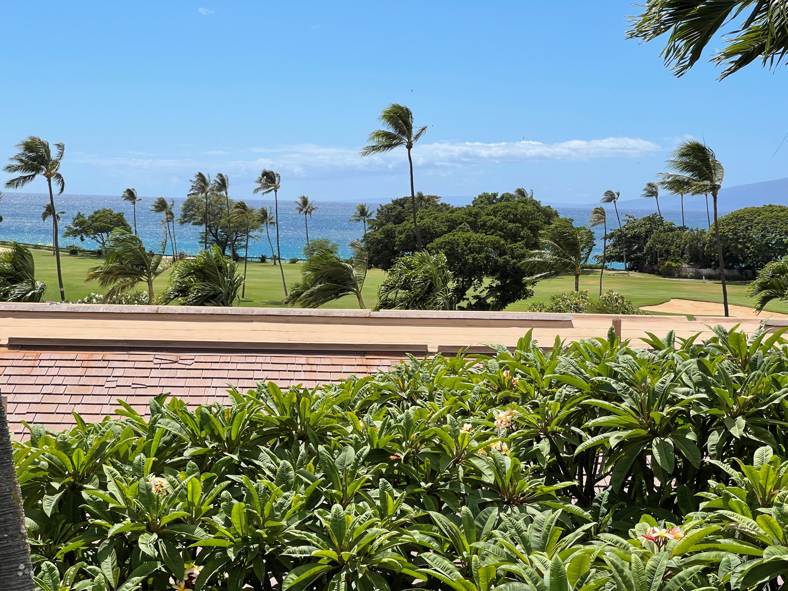 Maui Eldorado Condo K207 Maui Eldorado NO BOOKING FEES by Maui