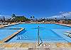 Main Whale Pool