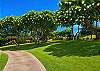 Scenic golf cart pathway of scented plumeria trees