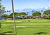 Expansive golf course views framed by tall swaying palms and Maui’s vibrant blue sky.