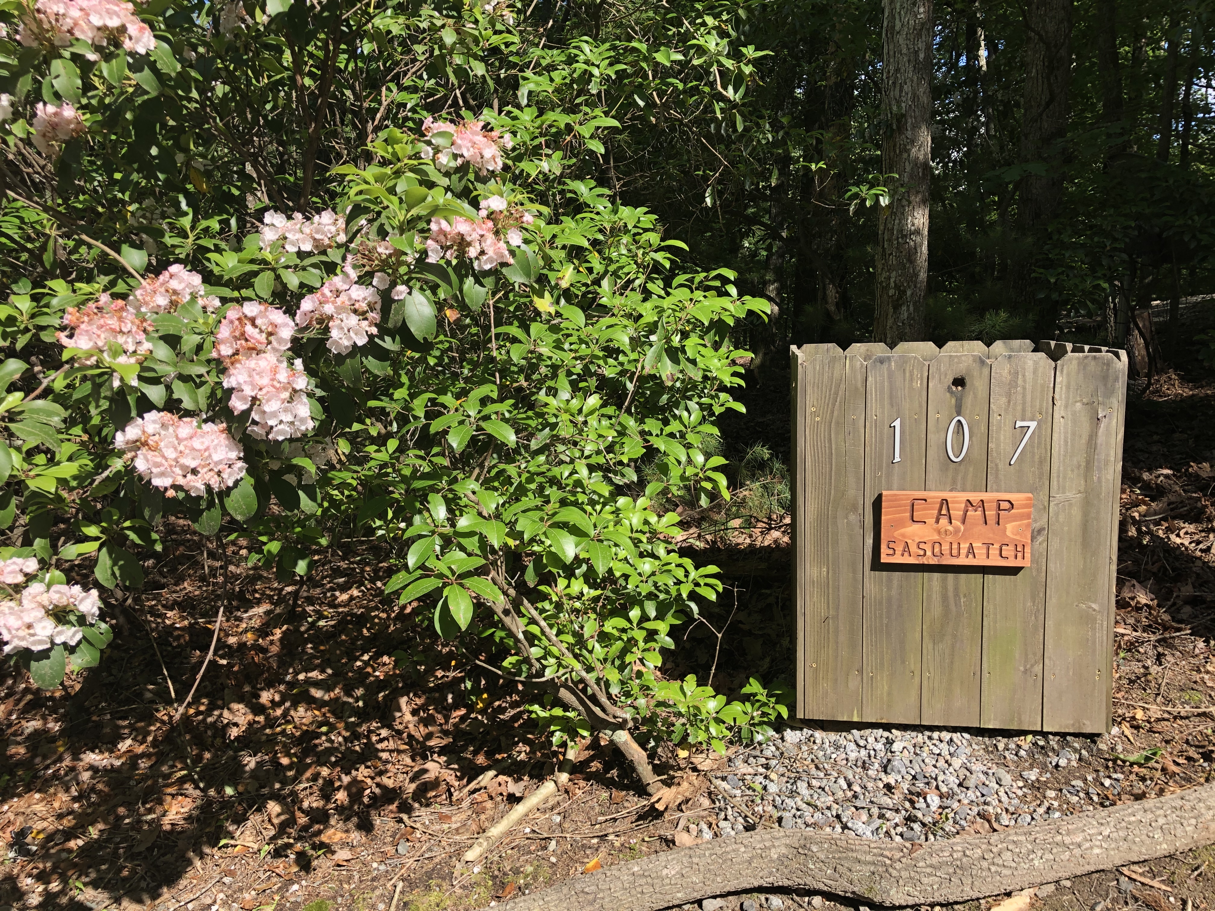 Camp Sasquatch - Powder Horn Mountain | Photo 5