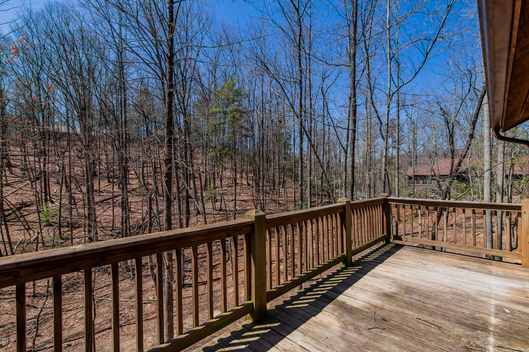 Main Floor back deck
