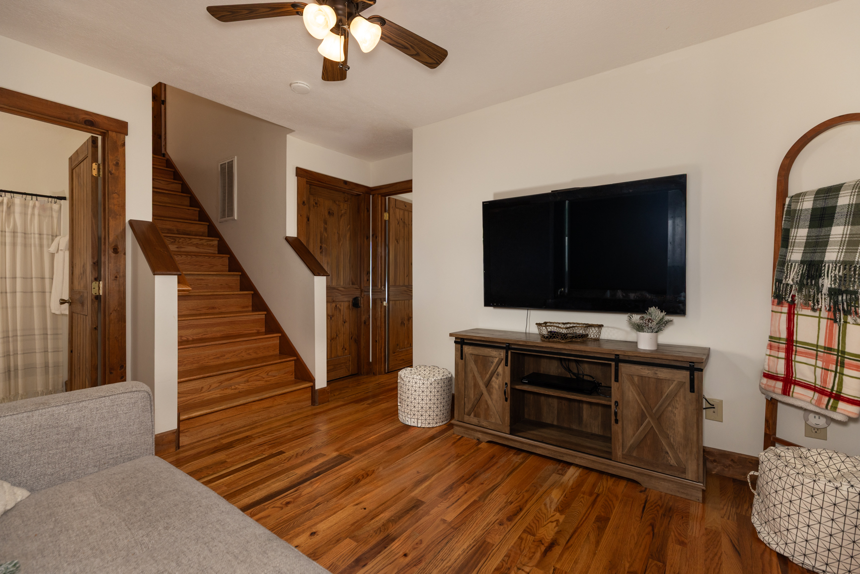 Lower Level TV area