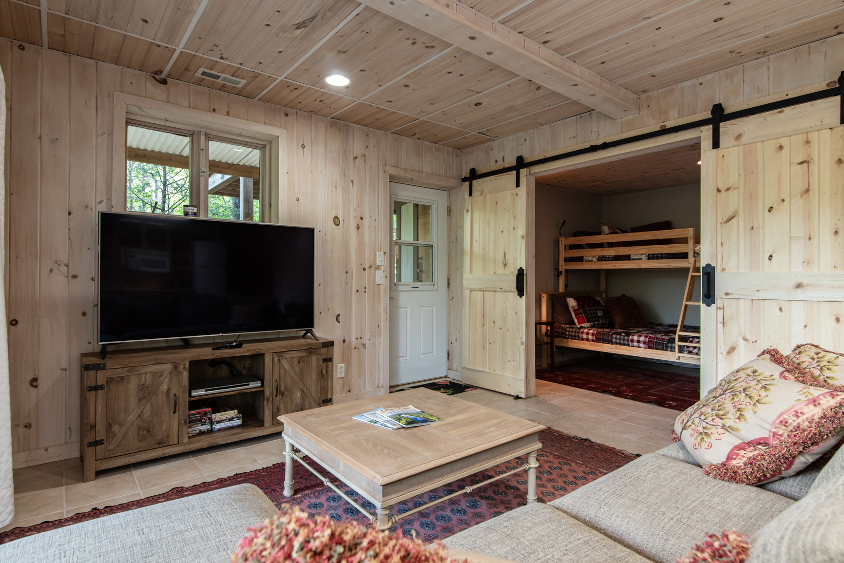Basement Living Room