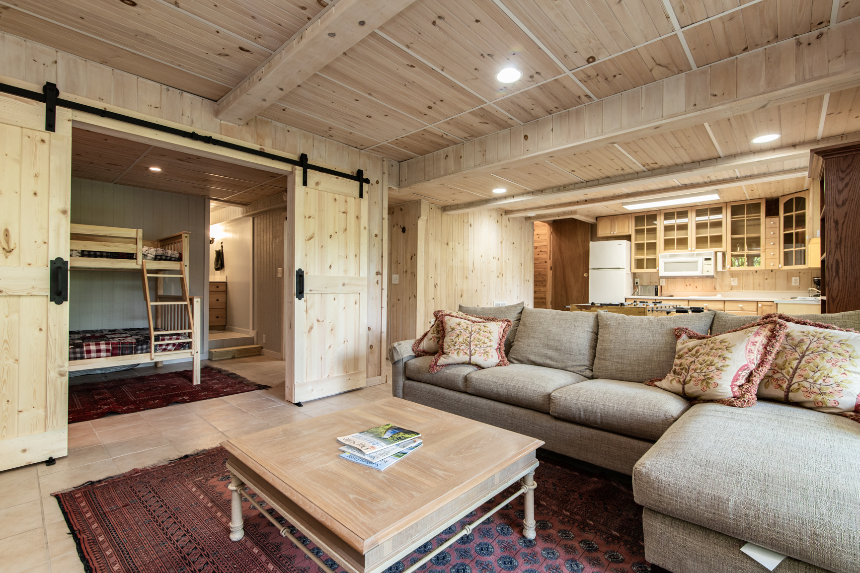 Basement Living room