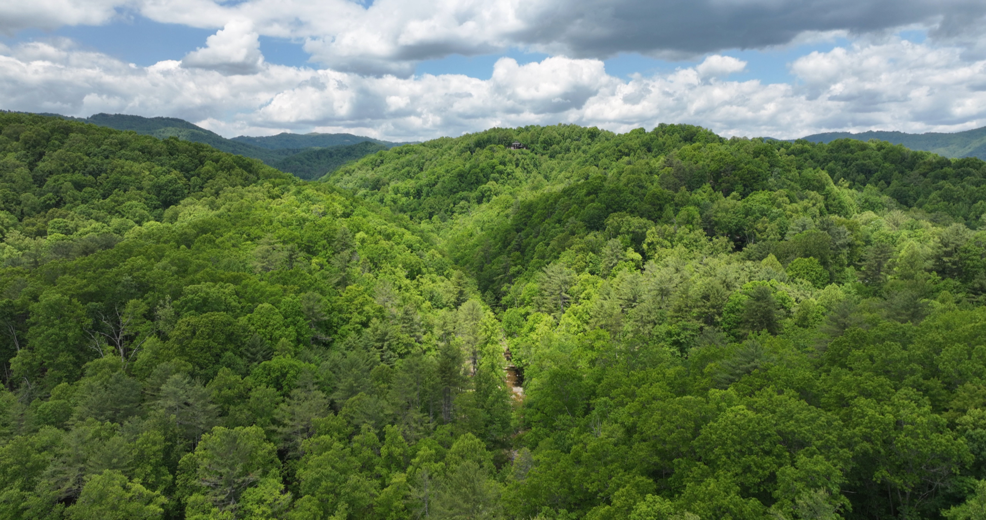 MsBeeHavin' - Powder Horn Mountain | Photo 8