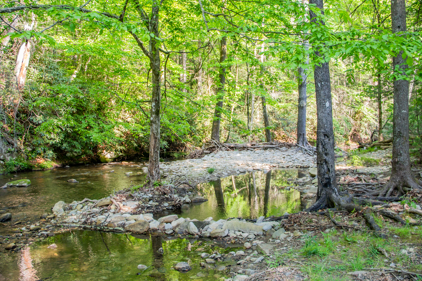 Powder Horn Community Picture