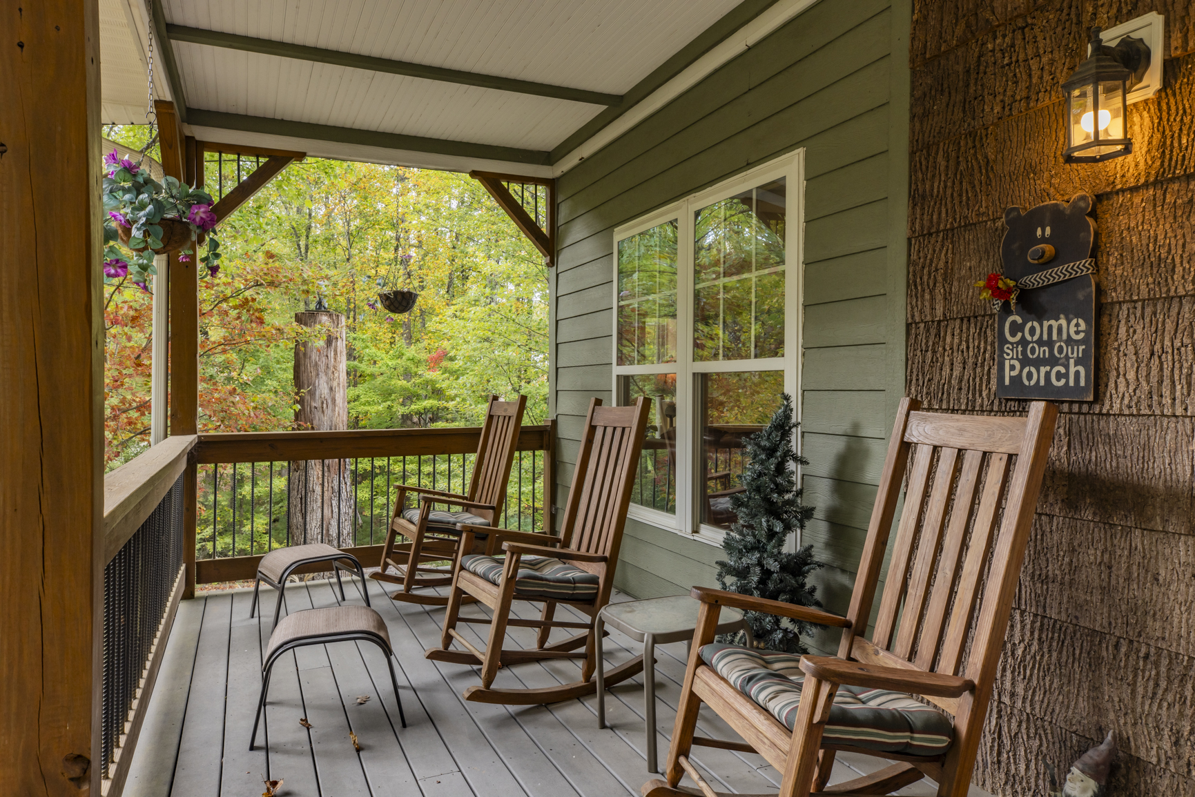 Simply Bearadise - Powder Horn Mountain | Photo 5