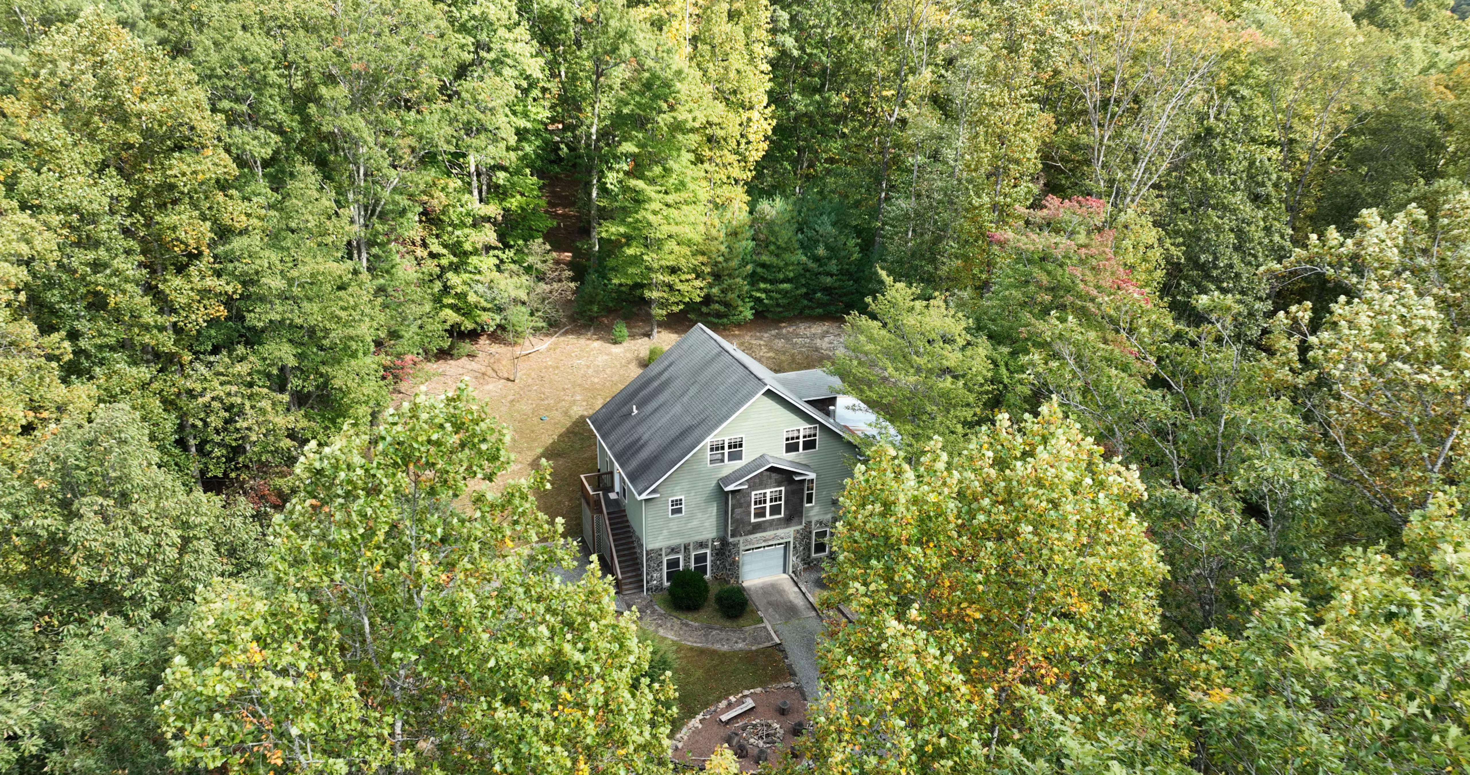 Simply Bearadise - Powder Horn Mountain | Photo 2