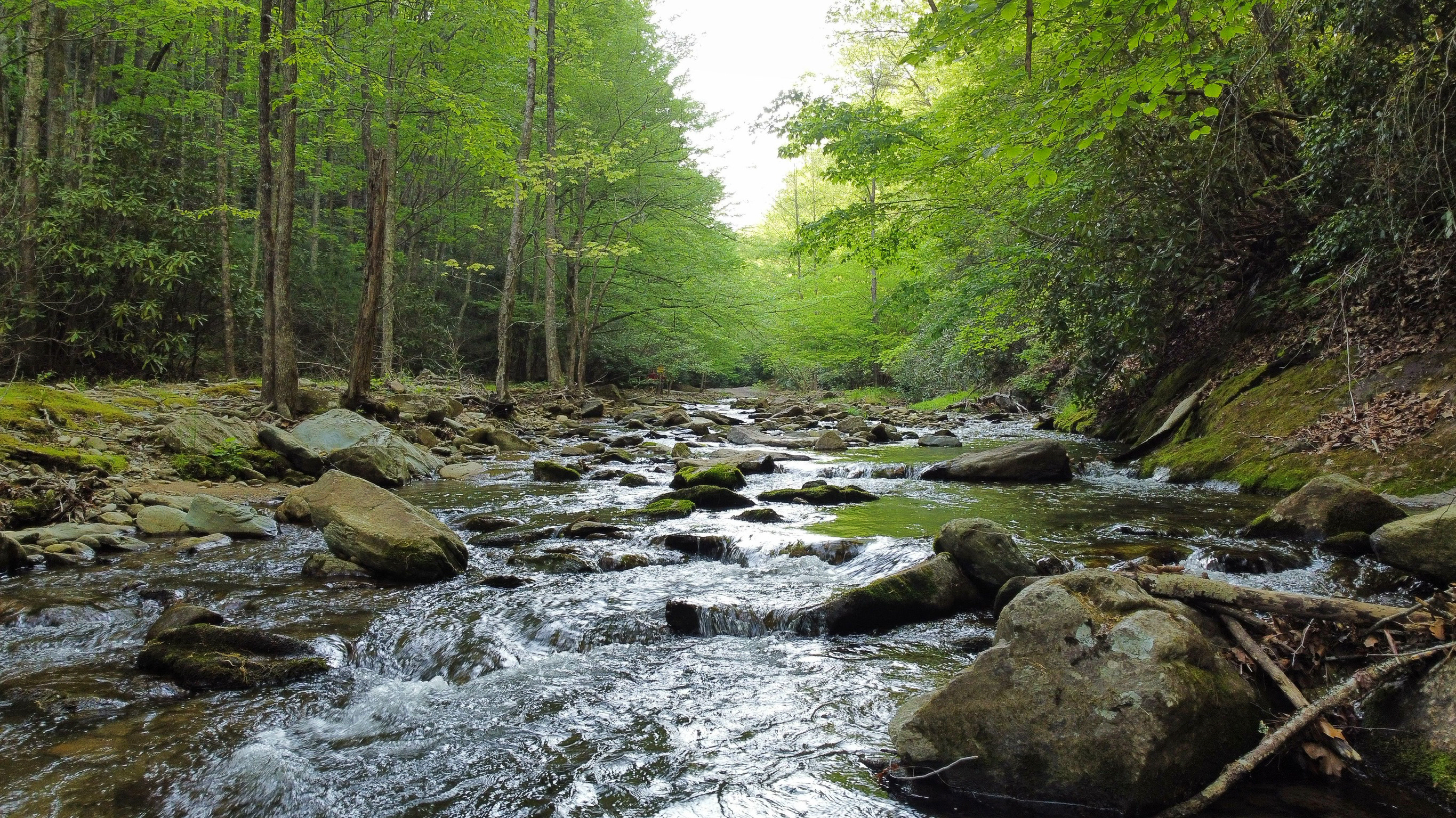Rivers and creeks along hiking trails throughout the community