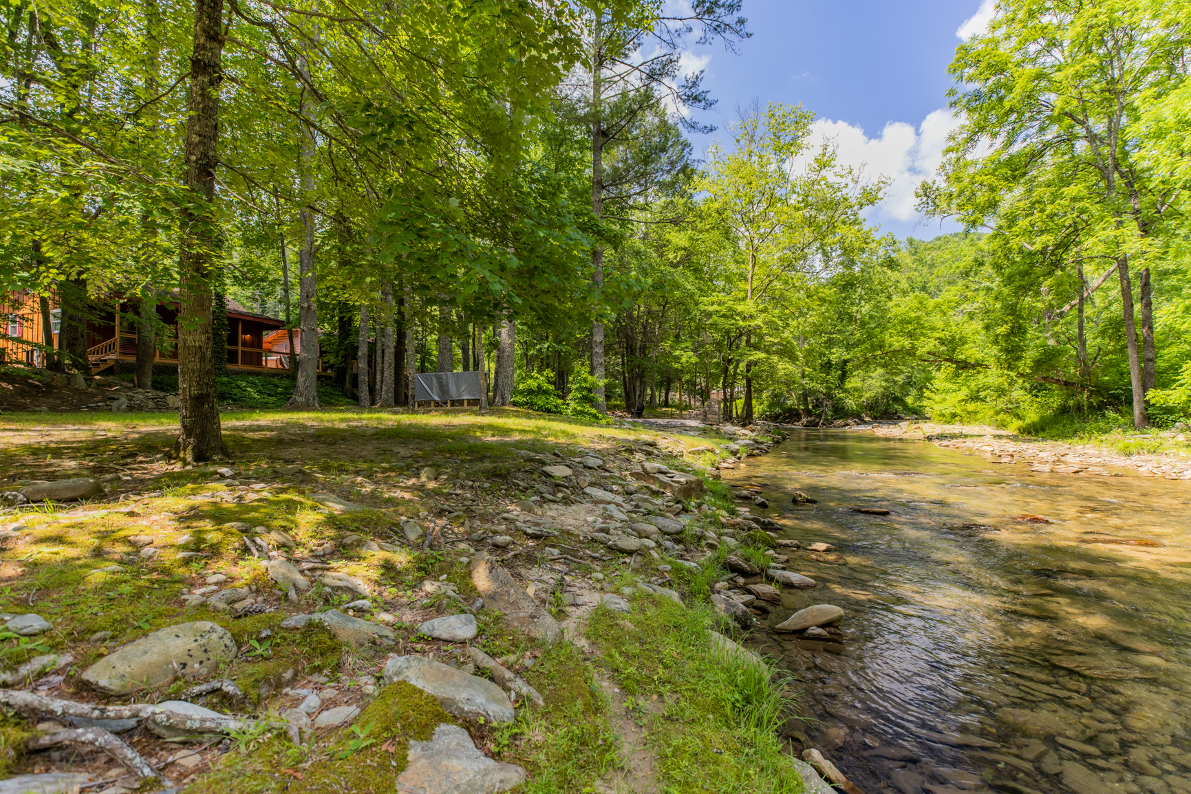 Twin Creeks Cabin - Anglers Retreat! | Photo 14