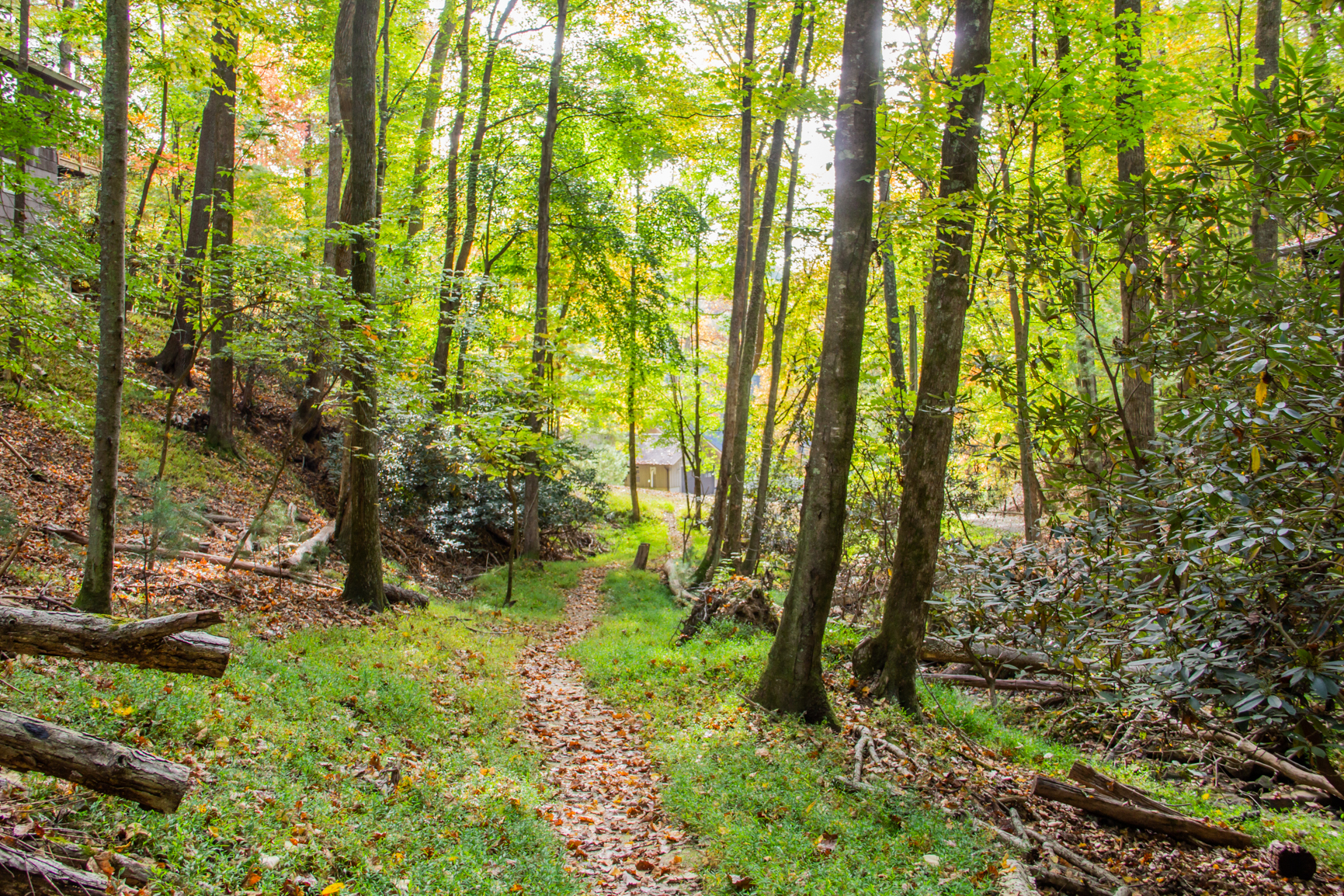 Penny Creek Cabin - Powder Horn Mountain | Photo 5
