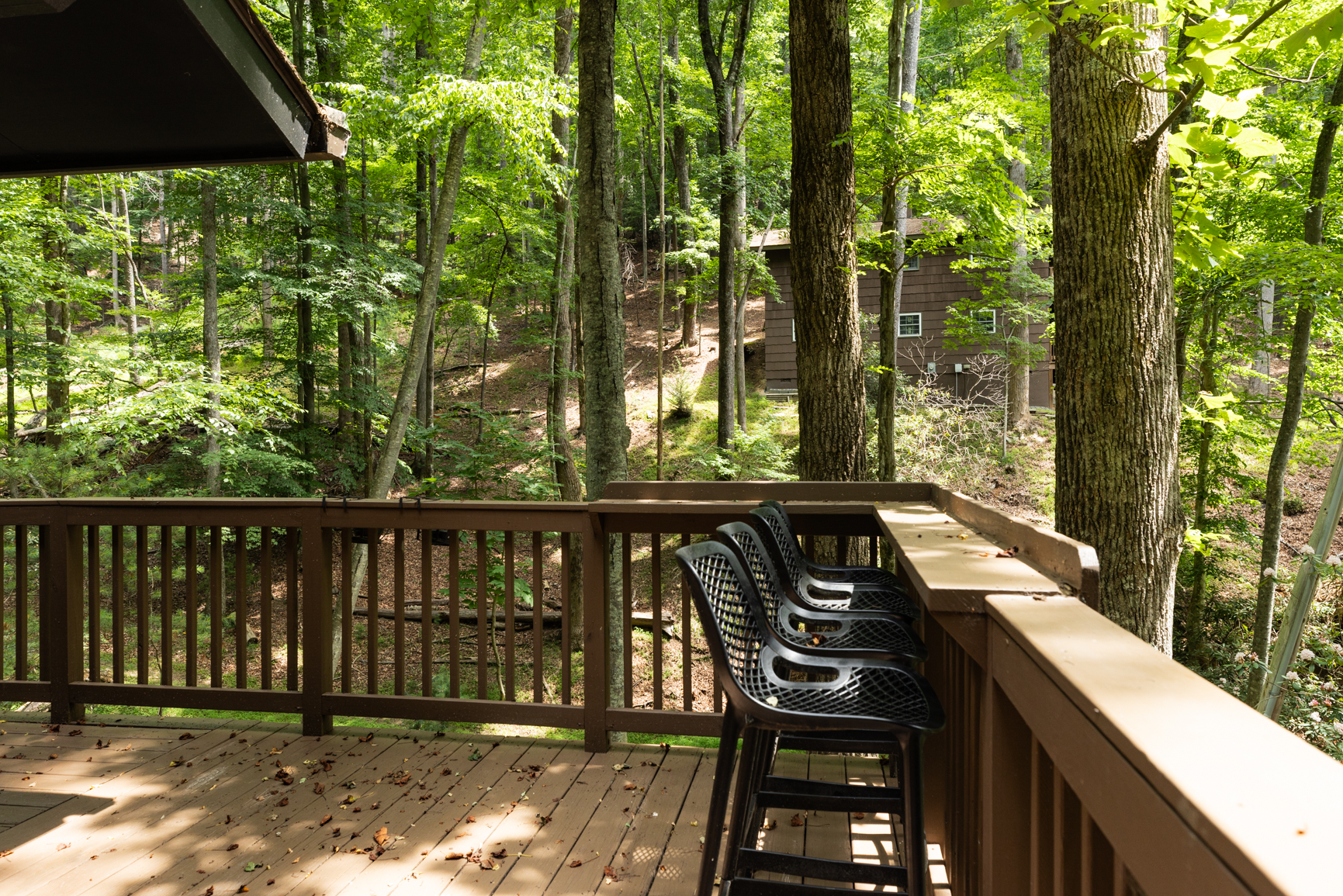 Penny Creek Cabin - Powder Horn Mountain | Photo 9