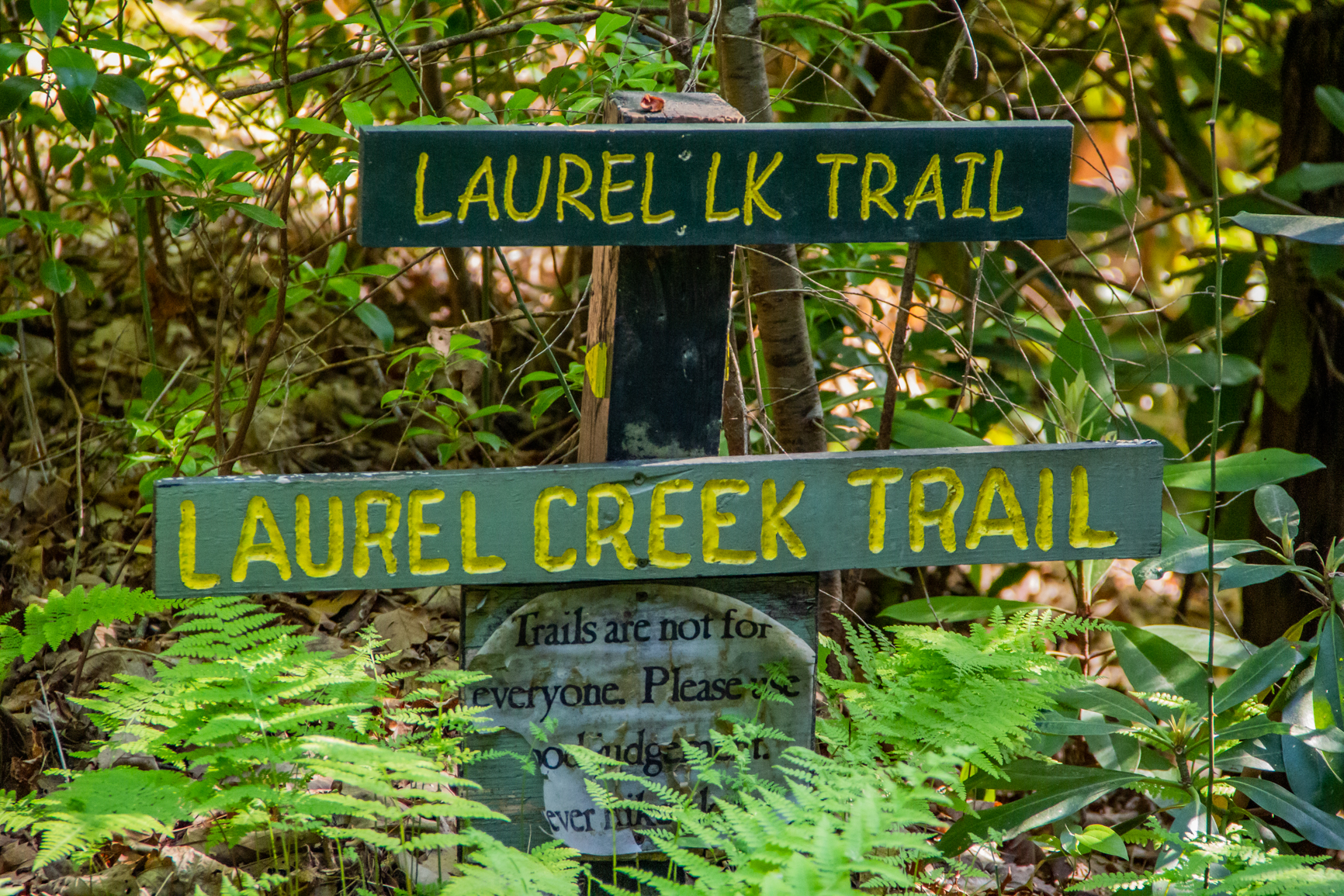 Trail head signage