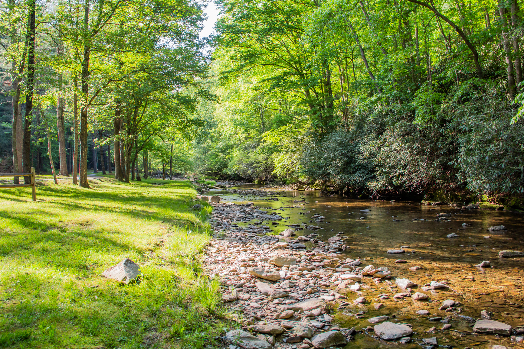 Laurel Creek at the campground