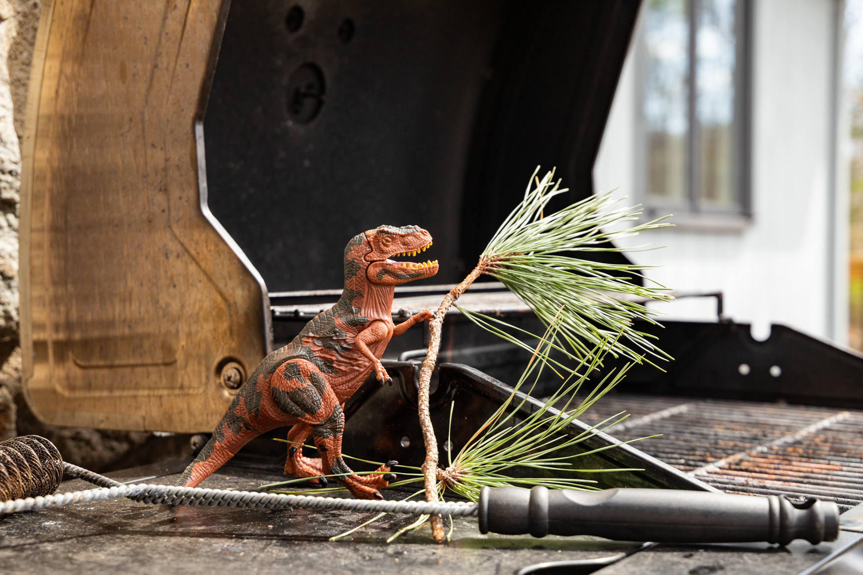 Laurel Creek Cottage - Powder Horn Mountain | Photo 9