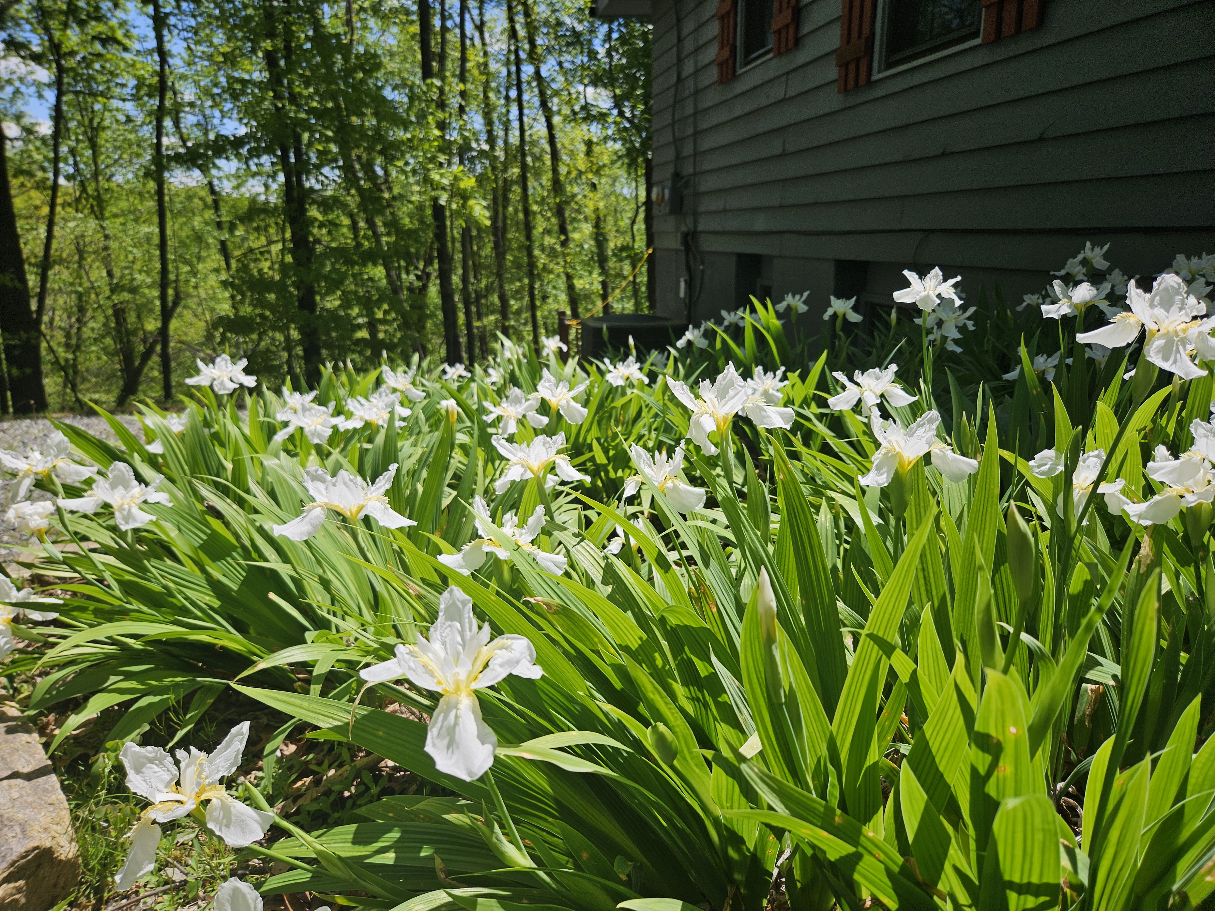 Hawk Ridge Haven - Powder Horn Mountain | Photo 2