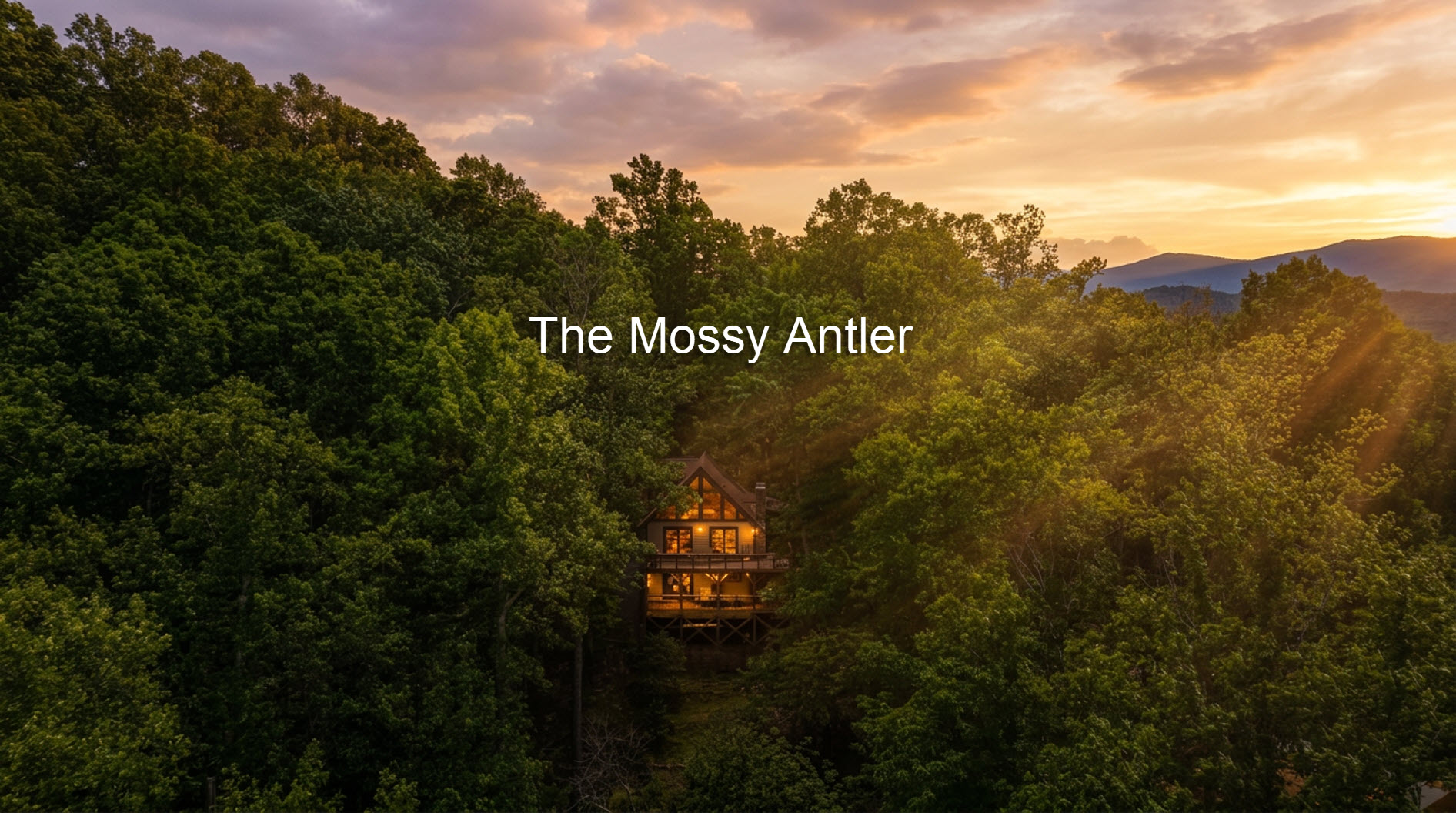 The Mossy Antler - Powder Horn Mountain | Photo 5