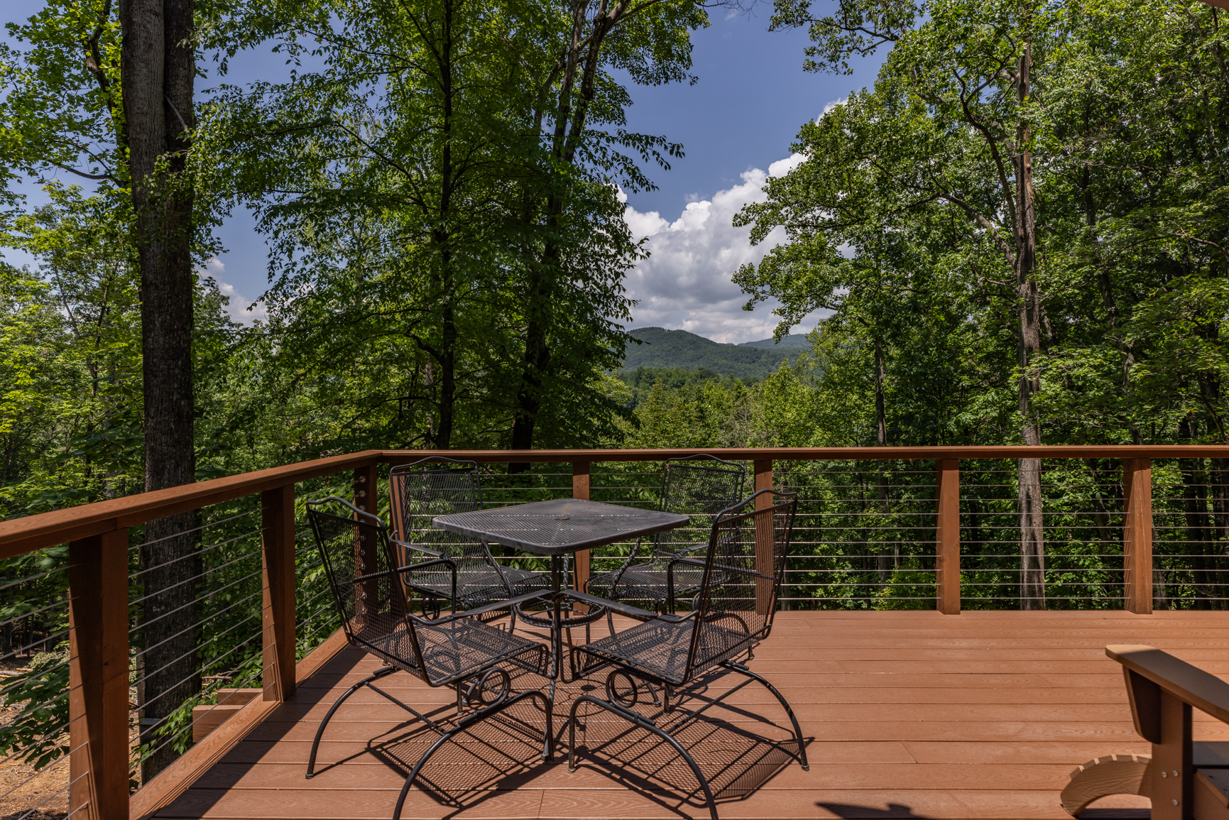 The Mossy Antler - Powder Horn Mountain | Photo 10