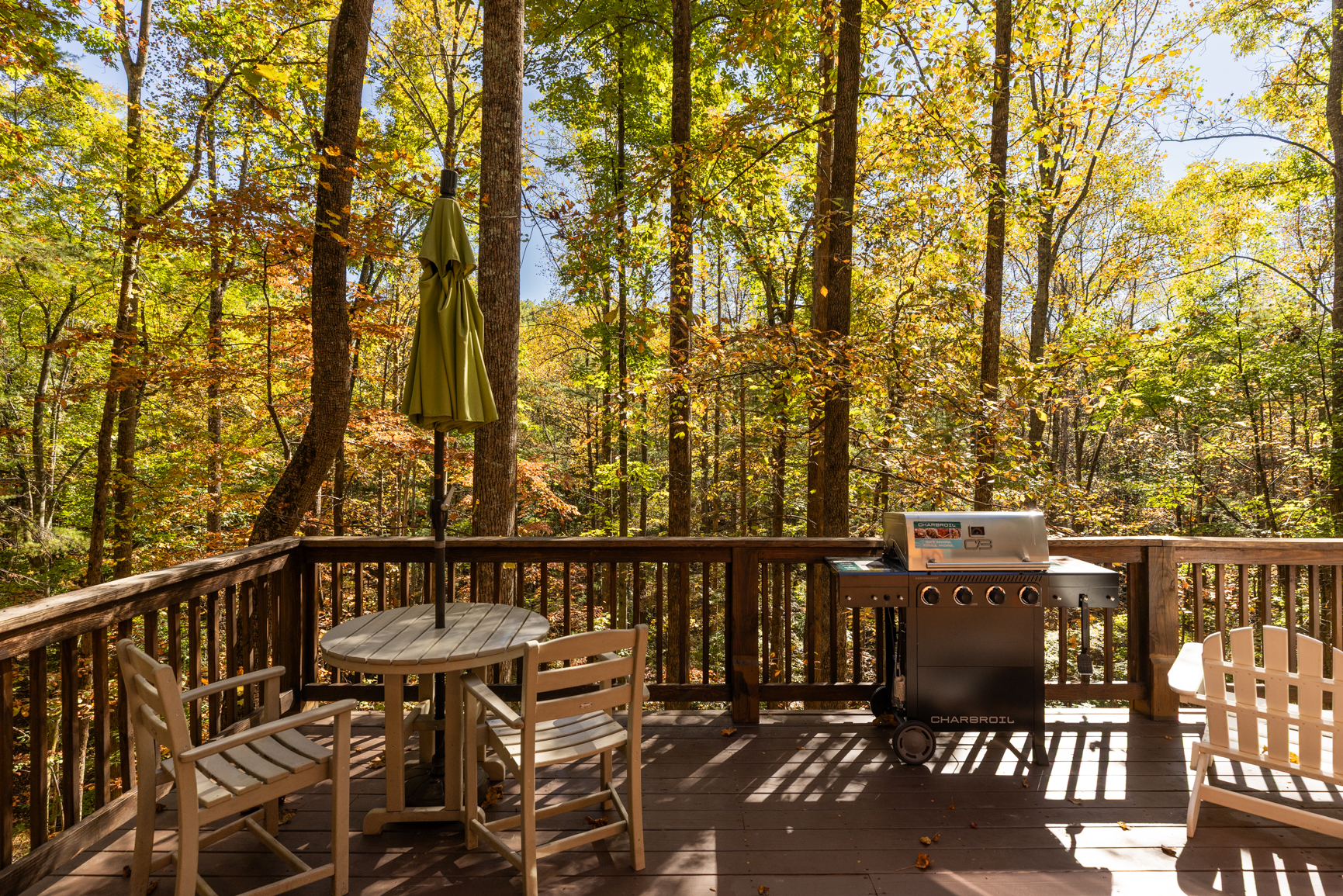 Saddle UP! - Powderhorn Mountain | Photo 4