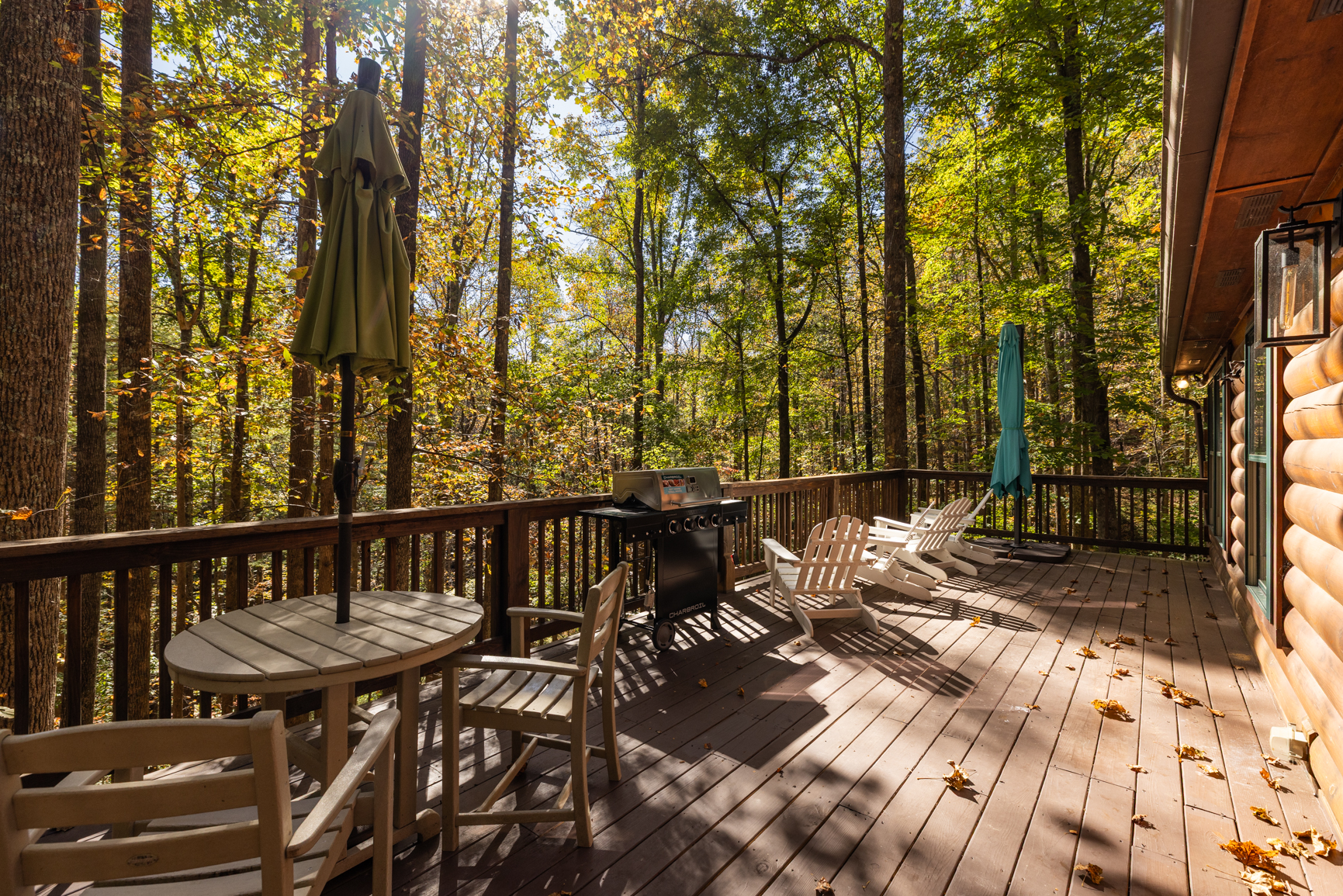 Saddle UP! - Powderhorn Mountain | Photo 6