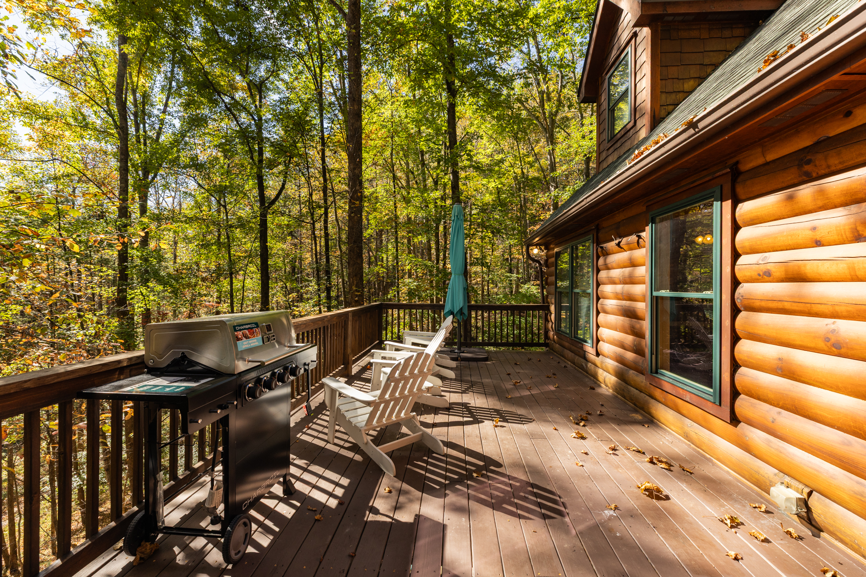 Saddle UP! - Powderhorn Mountain | Photo 3