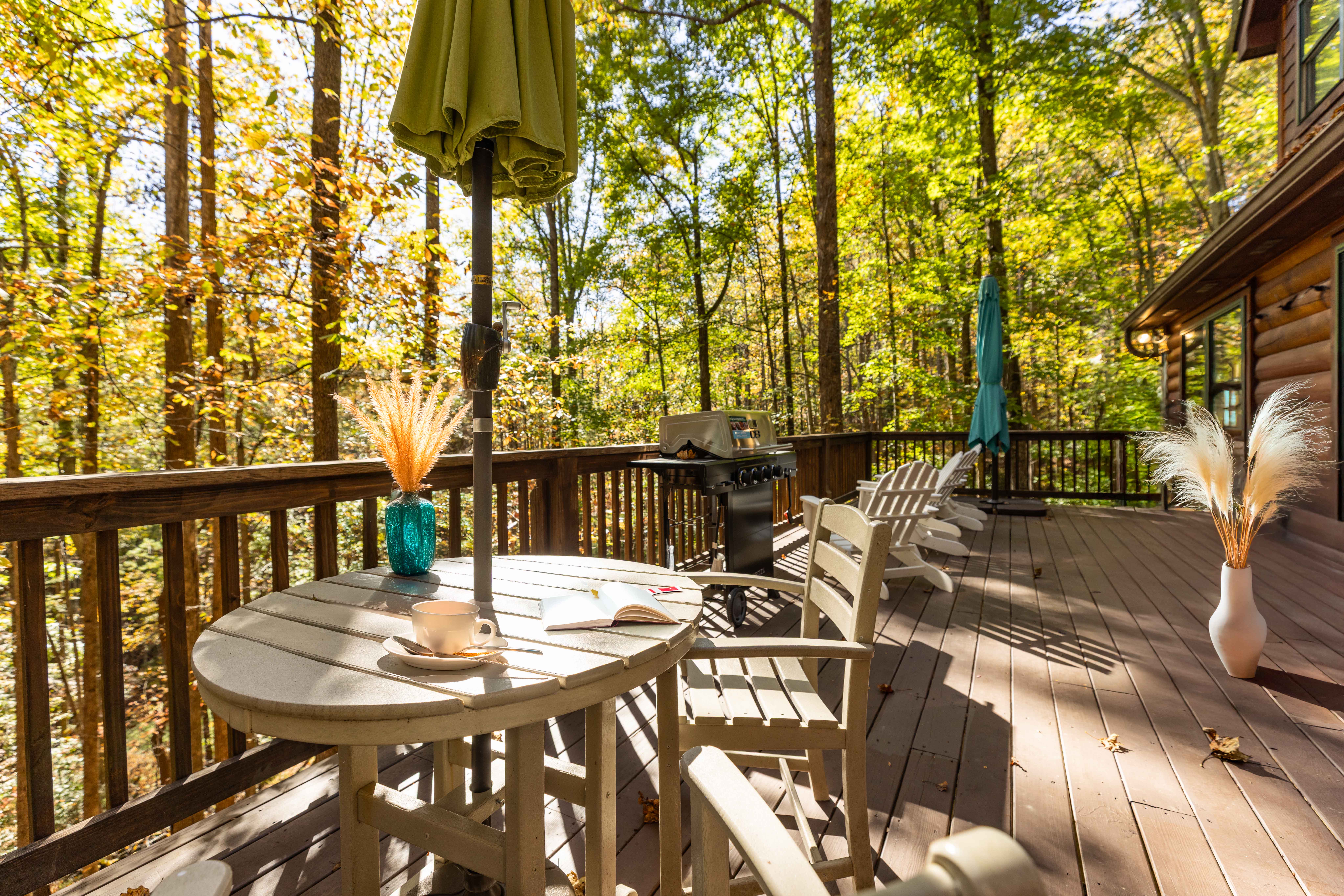 Saddle UP! - Powderhorn Mountain | Photo 2