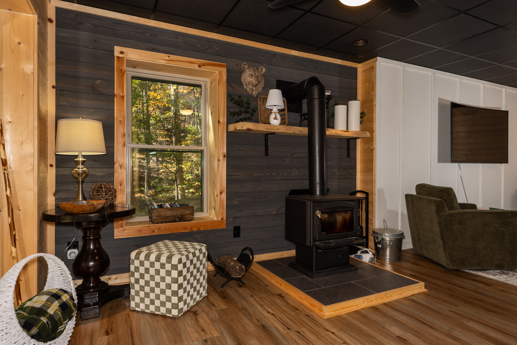 Basement Wood Burning Stove