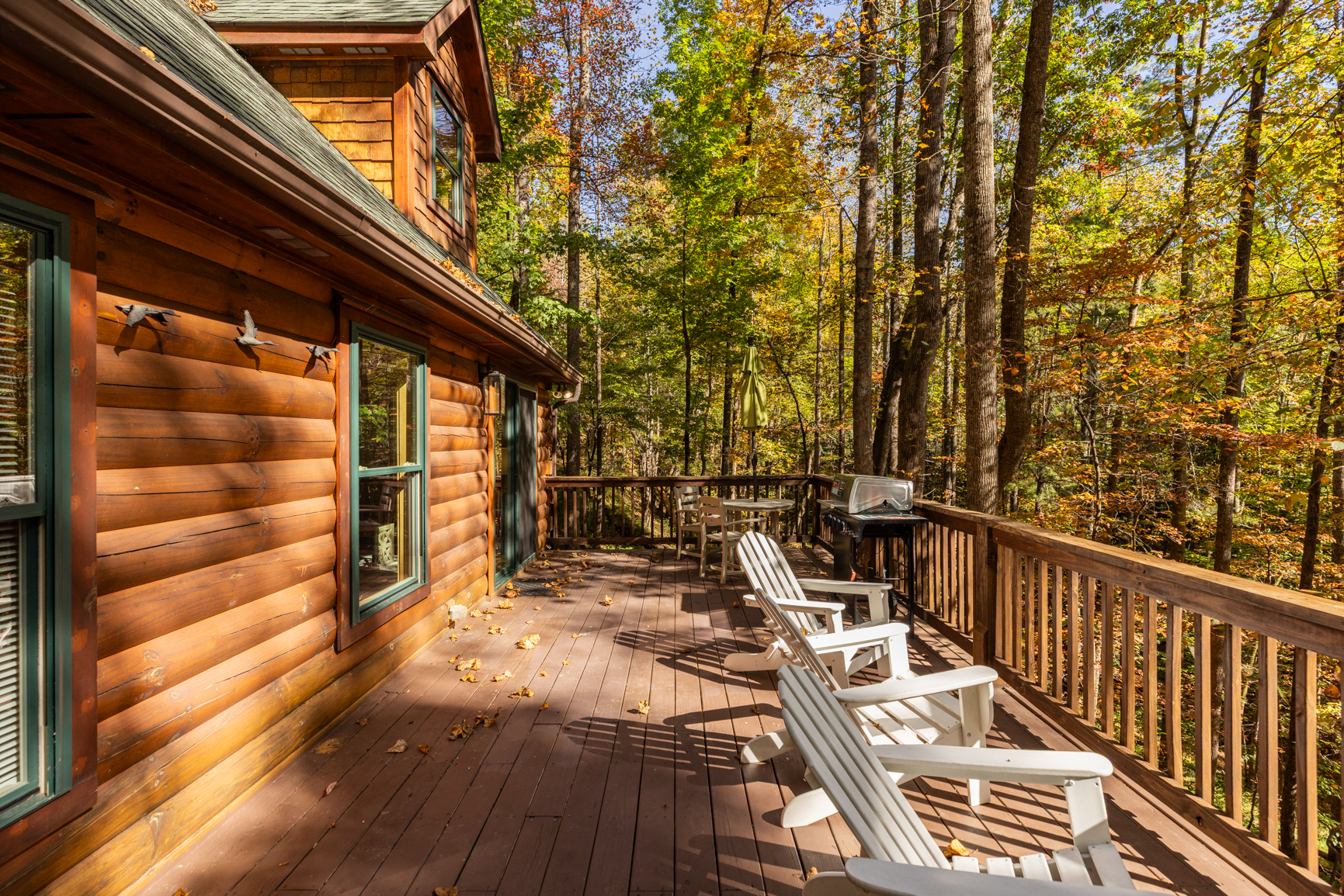 Saddle UP! - Powderhorn Mountain | Photo 11