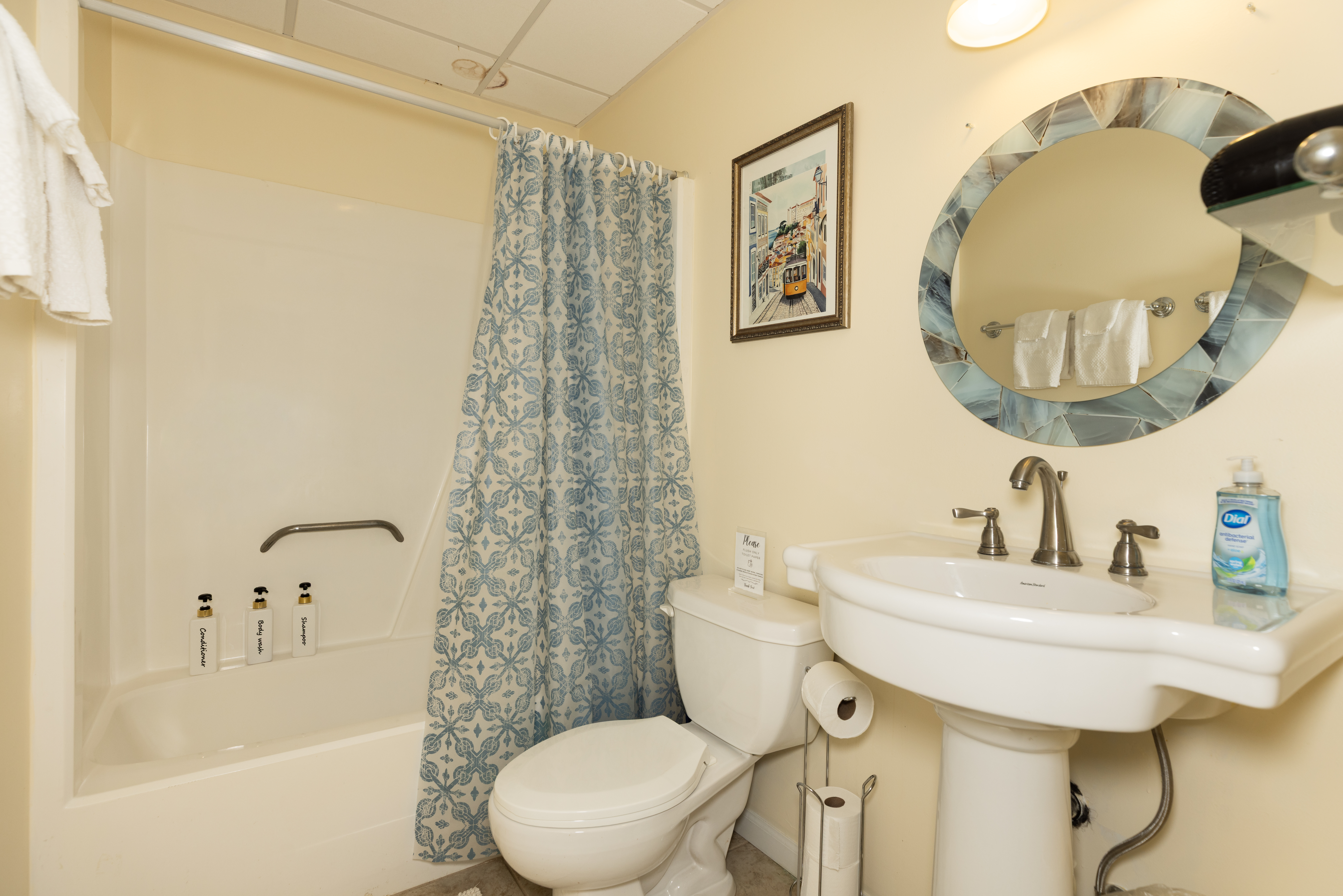 Lower Level Full bath