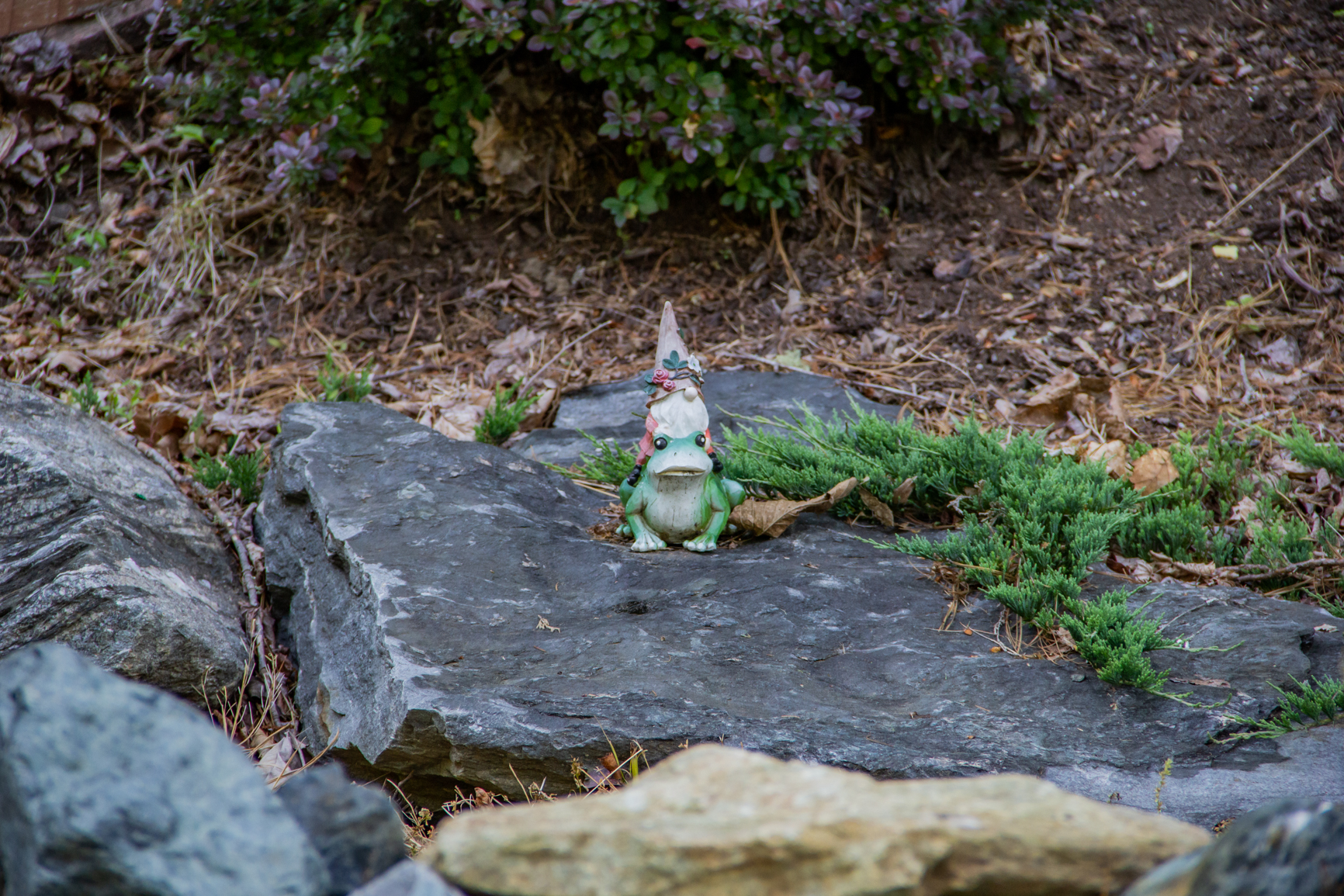 Powder Horn Community Amenities