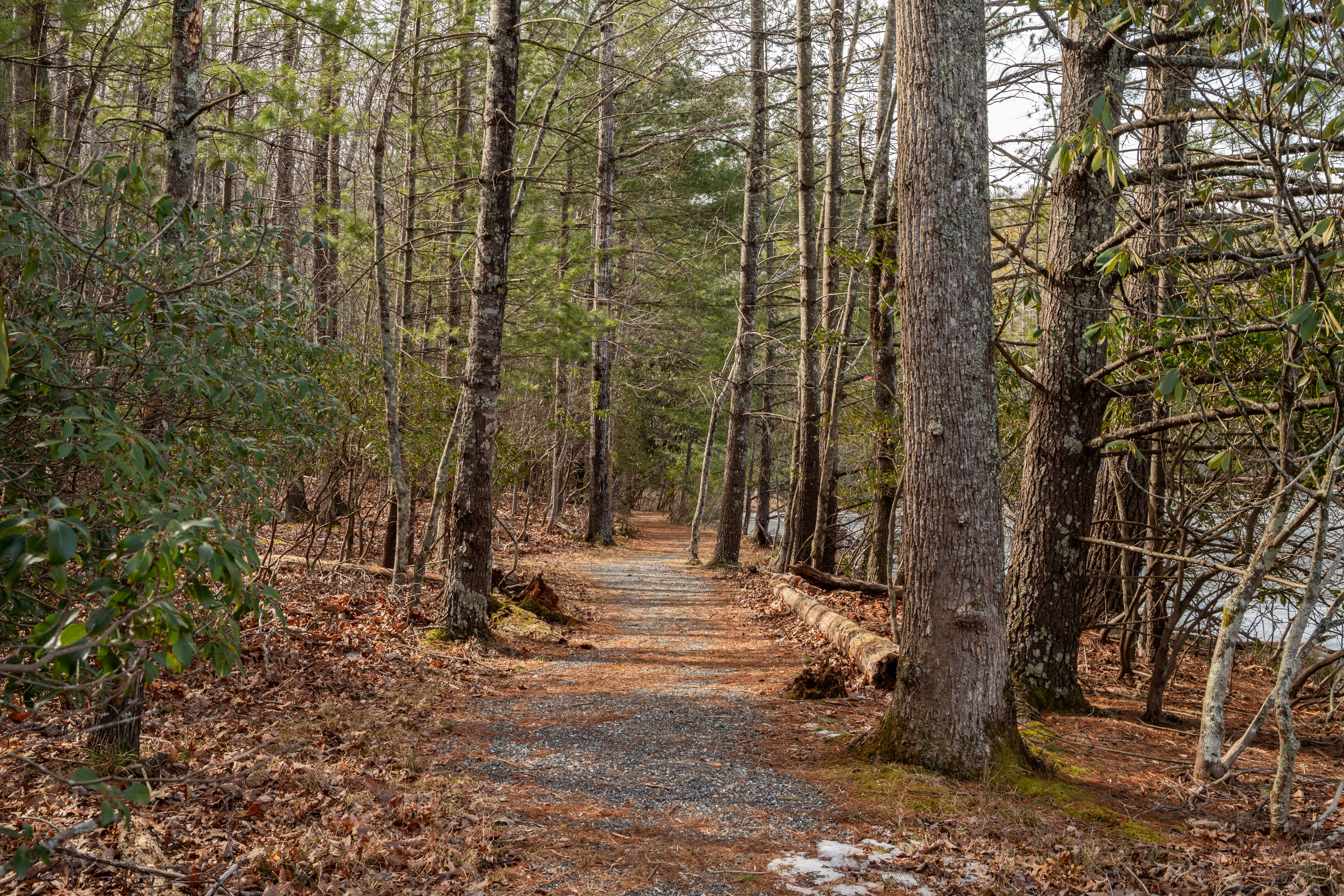 Walking path to Penny Lake and the Clubhouse