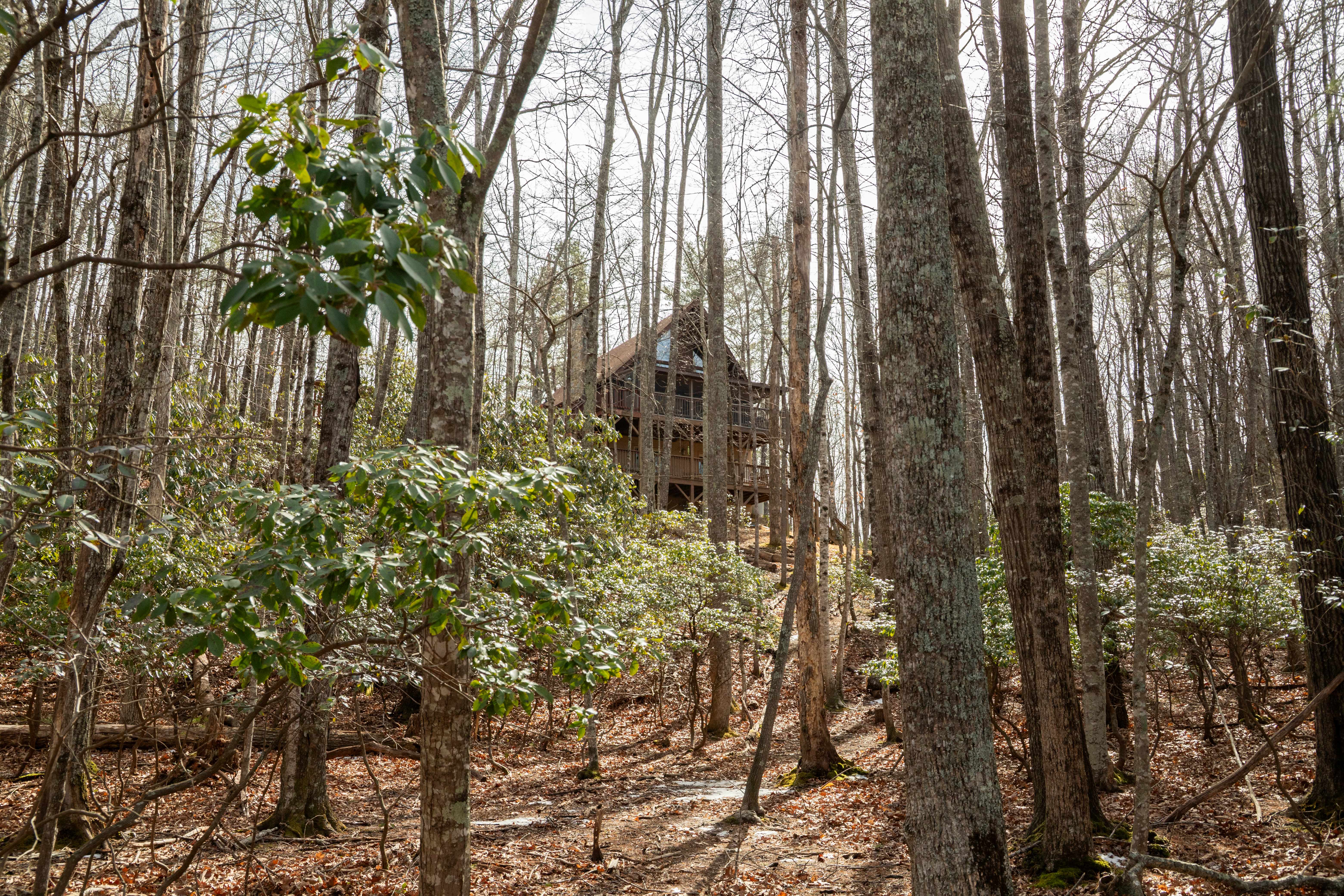 S'more than Enough! - Powder Horn Mountain | Photo 4