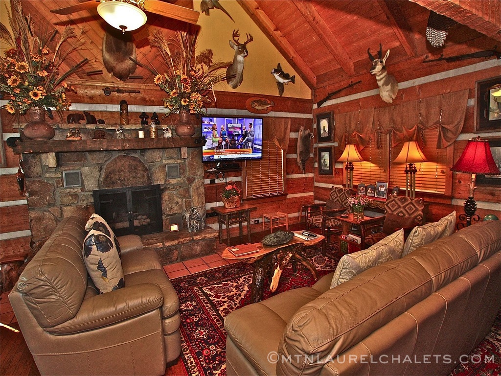 Log Cabin Adult Theater 102