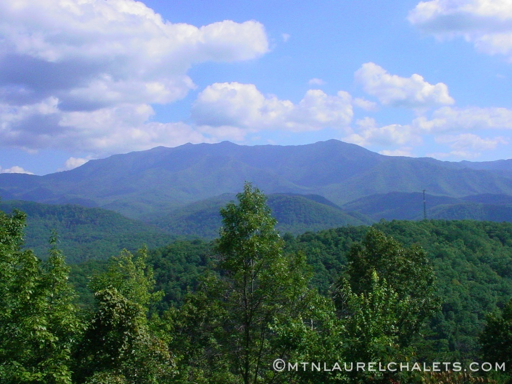 6 Bedroom Luxury Cabins In Gatlinburg Tn(37).jpg