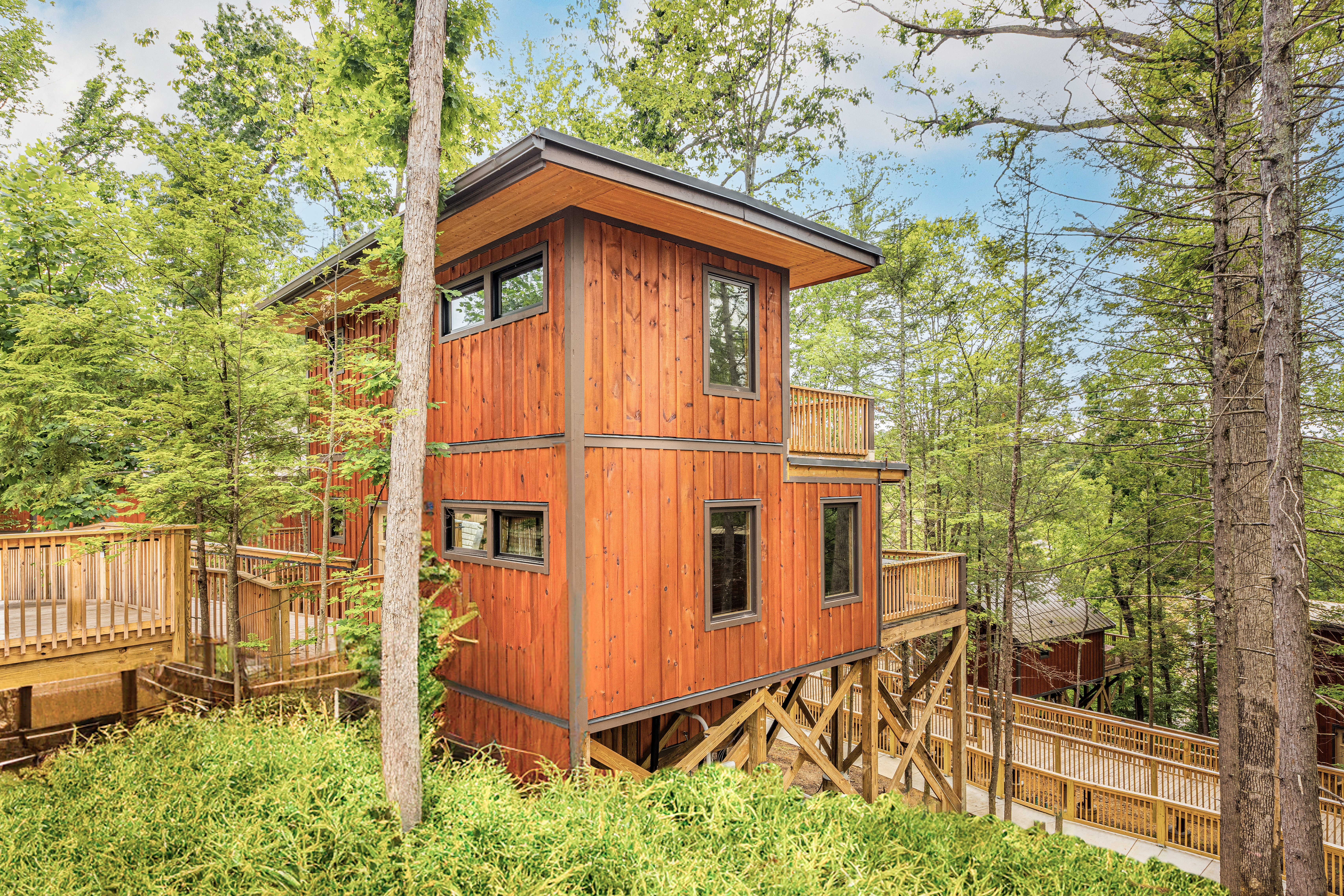 Unit #3 Treetops | Photo 2