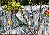 Backyard fence.