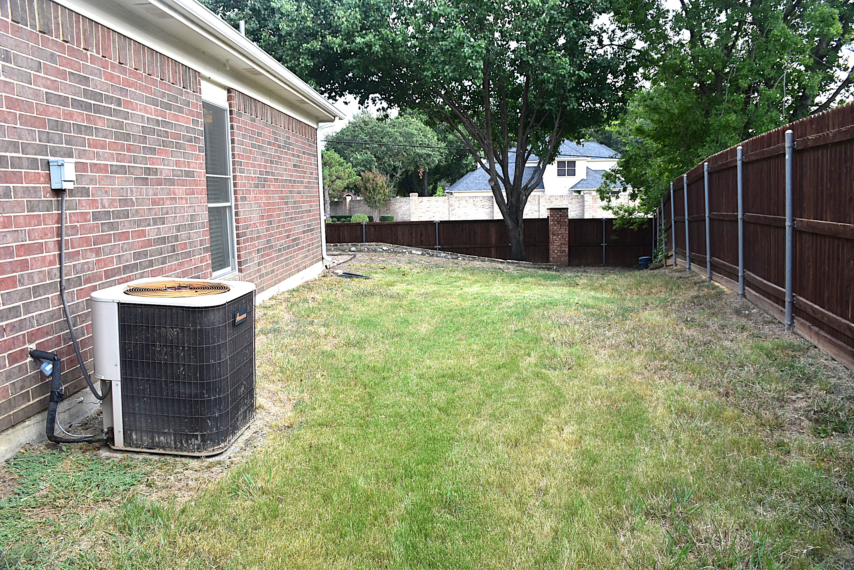 Fenced Yard