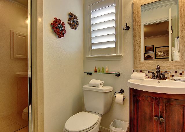 Guest bathroom located conveniently right next to the guest bedroom! 