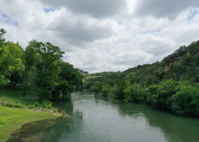 Did you know that Texas Parks and Wildlife and Guadalupe River Trout Unlimited stock this area each winter with rainbow and brown trout? January and February are prime fishing months here.
