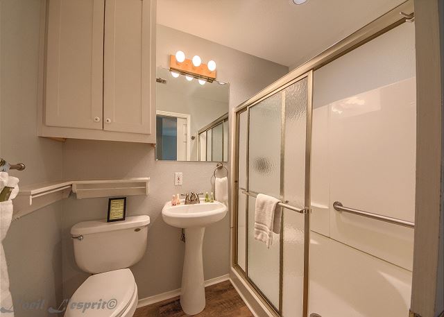 Downstairs private master bathroom.
Provided with bath towels, hotel size amenities and 2 rolls of toilet paper. 