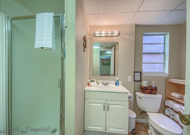 Lower level guest bathroom. 