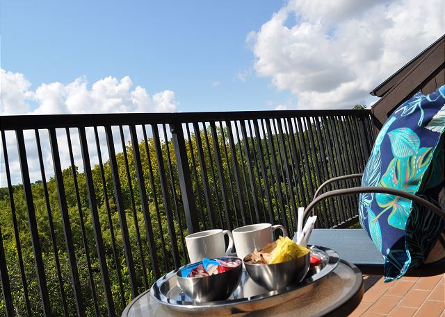 Beautiful upstairs balcony! Make some coffee and breakfast and enjoy the view!