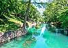 Gorgeous views of the Comal River!