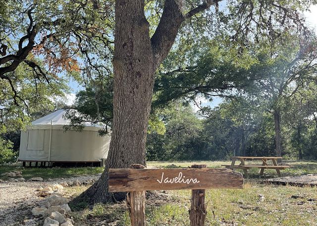 Texas Yurt Haus: Javelina