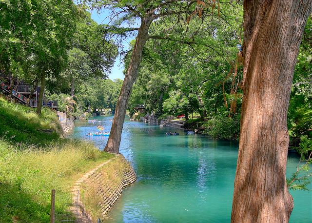 Direct Comal River Access! 